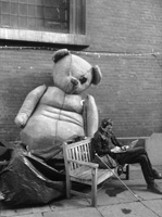 Big Ted Image Link